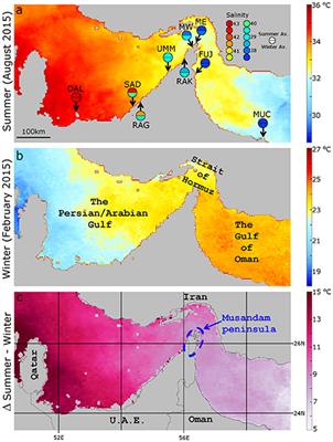 Fine-Scale Biogeographical Boundary Delineation and Sub-population Resolution in the Symbiodinium thermophilum Coral Symbiont Group From the Persian/Arabian Gulf and Gulf of Oman